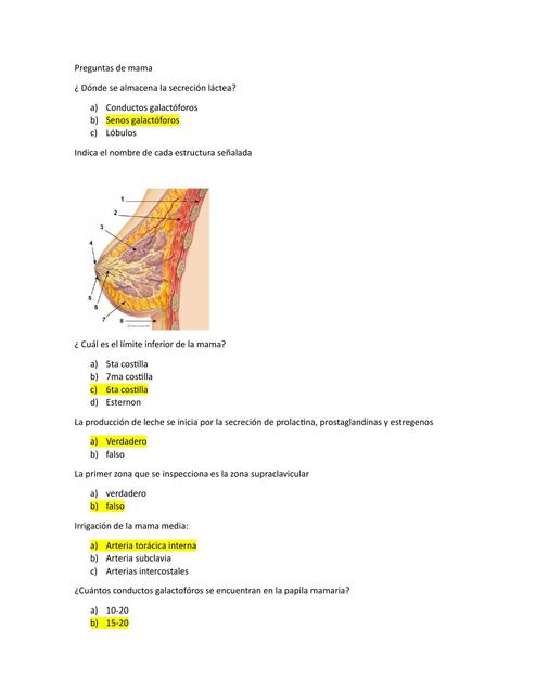 Preguntas de mama