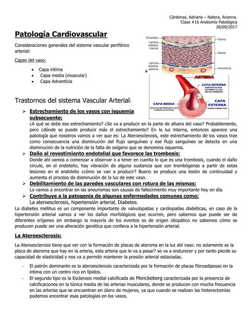 Clase Cardiovascular I