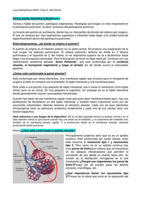 Clase 3 Respiratorio I