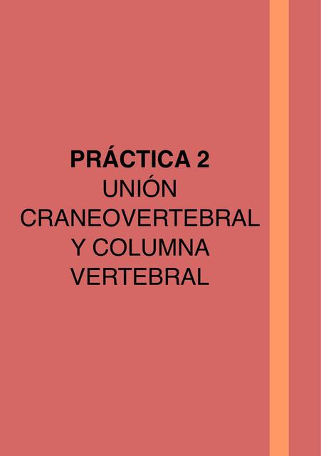 Anatomía General Unión créano v Columna