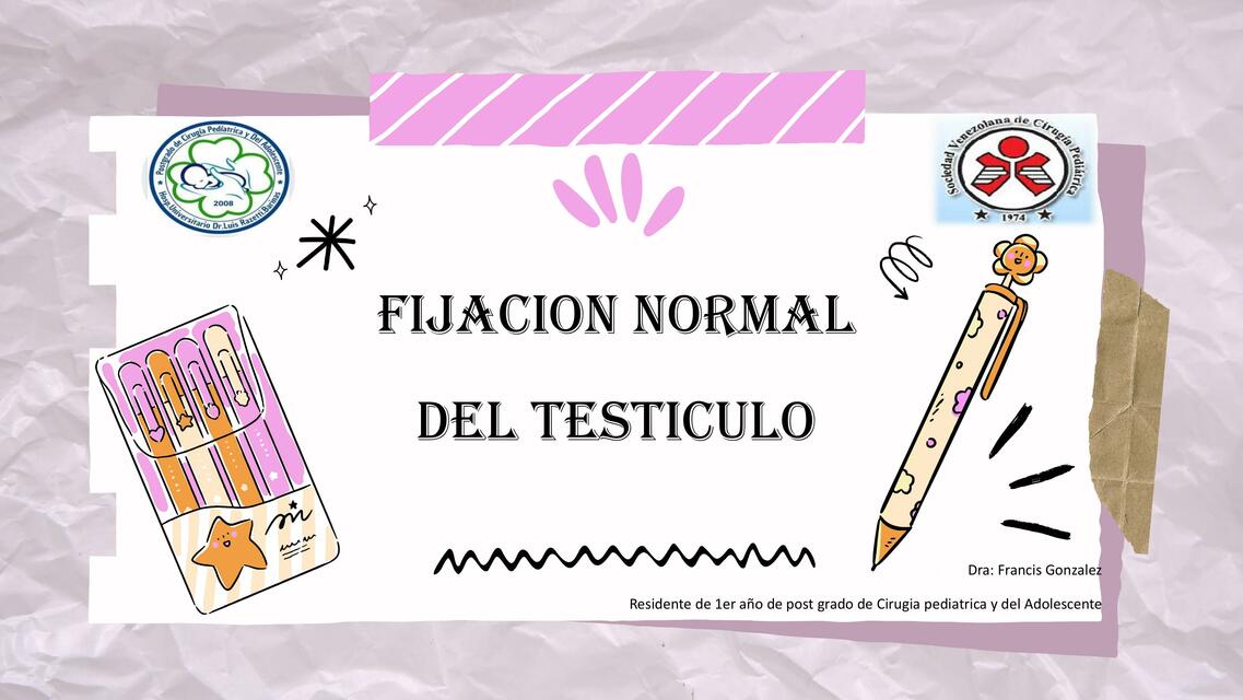 Fijación Normal del Testículo 