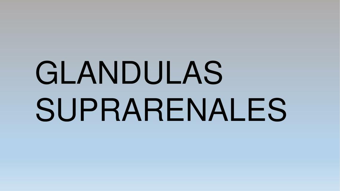 Glándulas suprarrenales