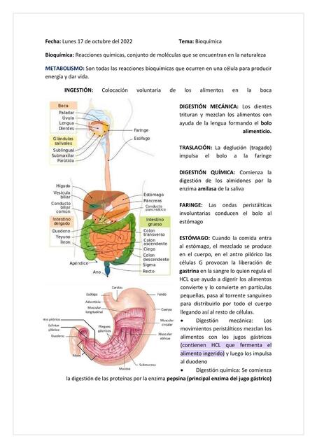 Bioquímica