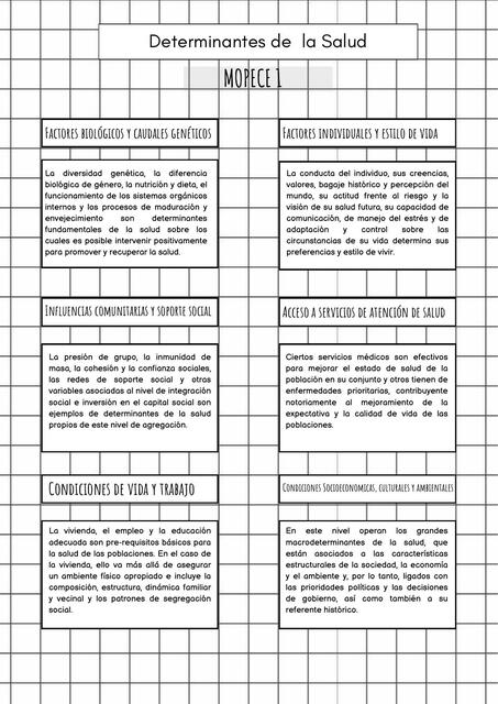 Determinantes de la Salud