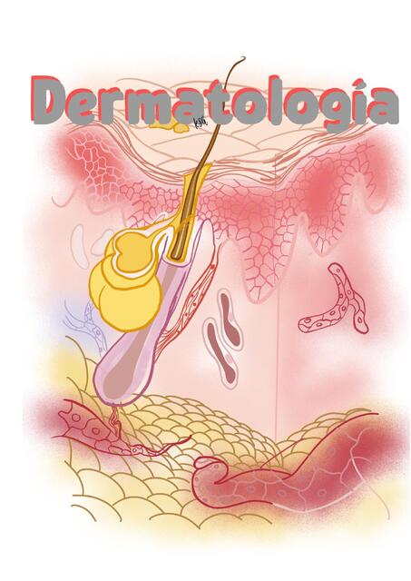 Dermatología