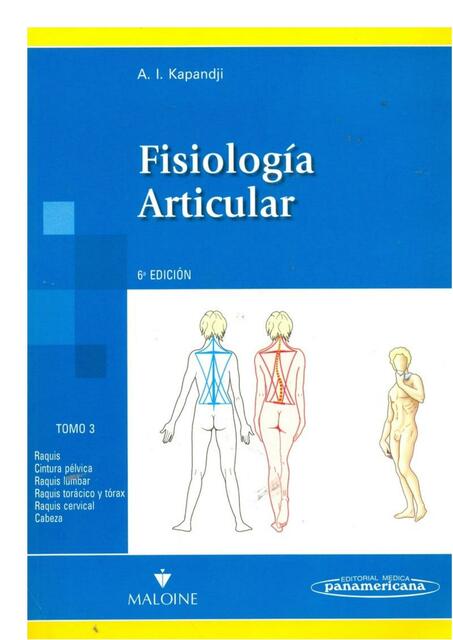 Fisiología articular Kapandji | B.M.GFisioterapia Apuntes y demás | uDocz