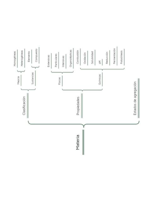 Materia- Mapa Mental 