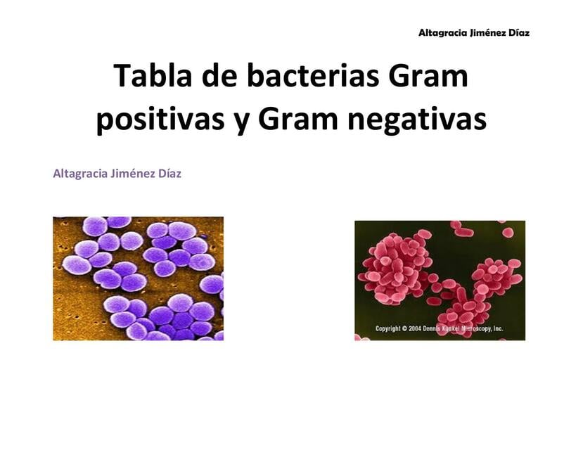 tabla de bacterias gram positivas y negativas | Angel Chacón | uDocz