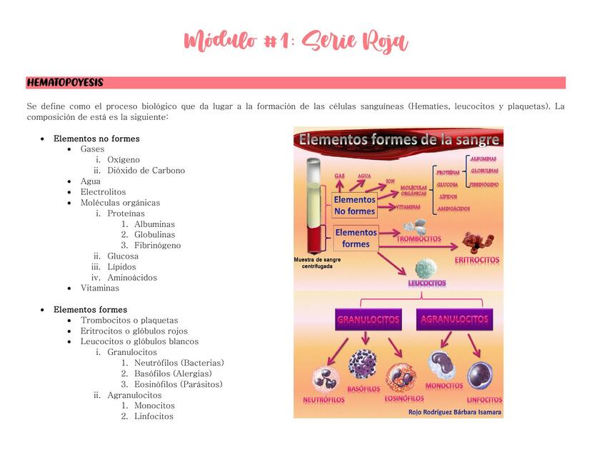 MÓDULO 1 SERIE ROJA