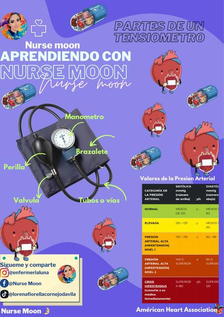 Enfermeria Basica Presion Arterial