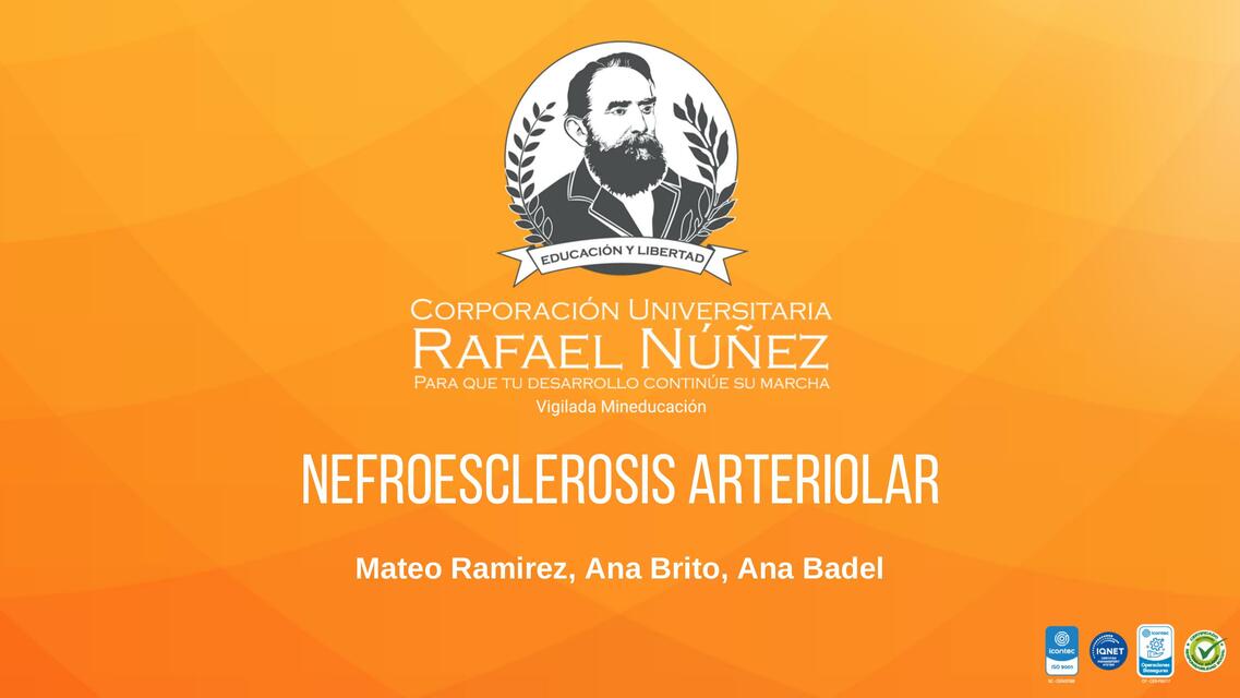 Nefroesclerosis arteriolar