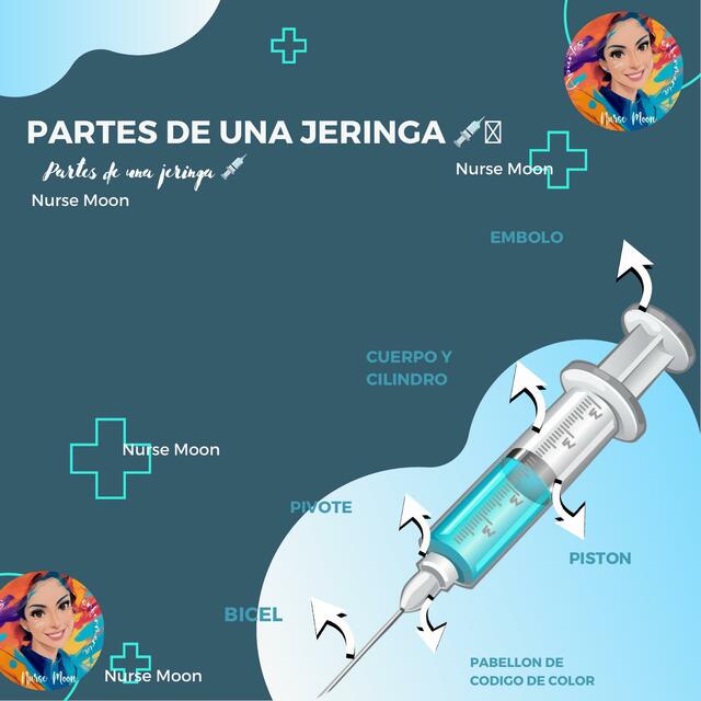 Enfermeria Basica Partes de una jeringa