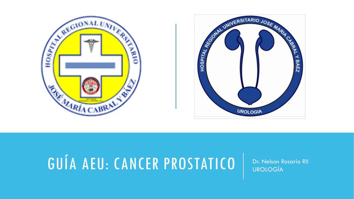 GUÍA AEU de Caner de Prostata