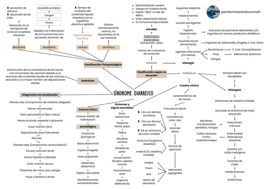 Síndrome diarreico