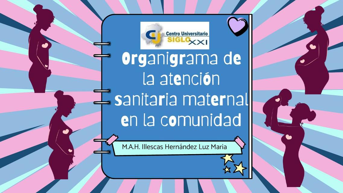 Organigrama de la Atención Sanitaria Maternal en la Comunidad 