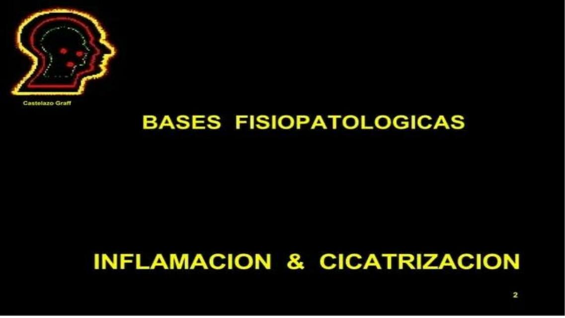 Inflamacion y cicatrización