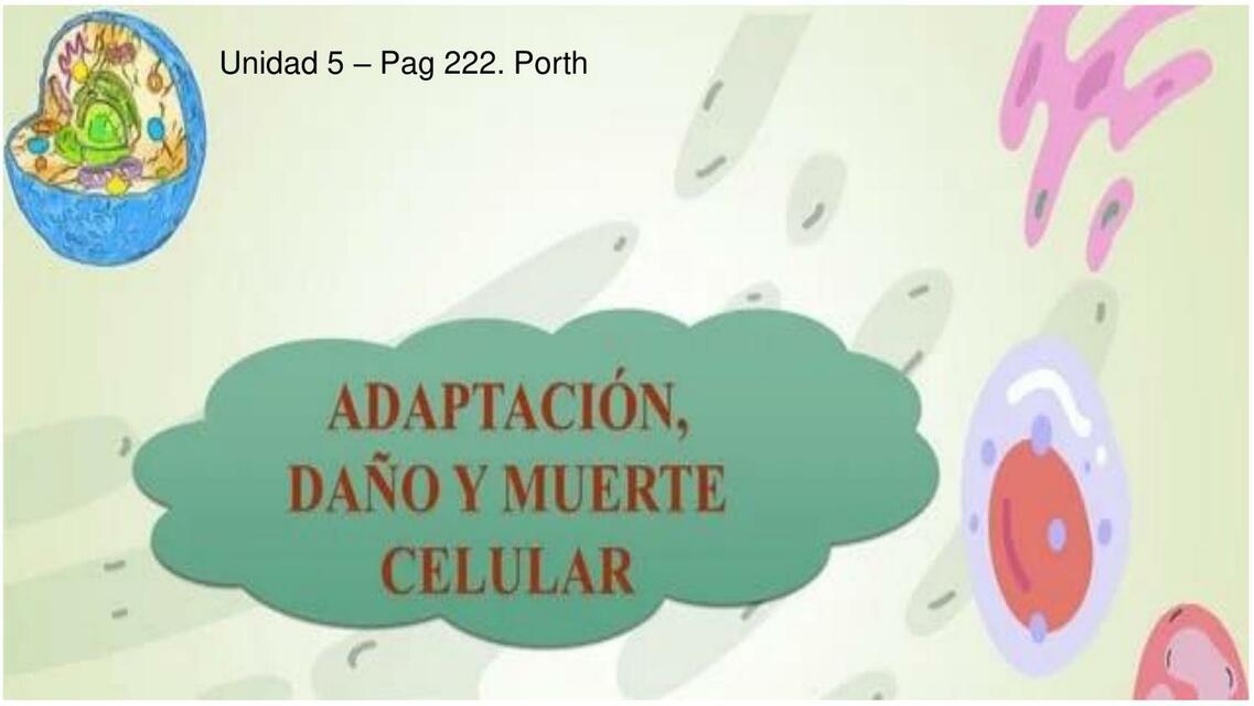 ADAPTACIÓN, DAÑO Y MUERTE CELULAR