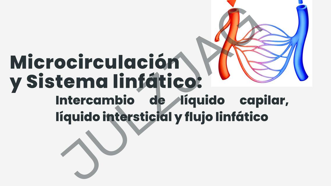 Microcirculación y sistema linfático 