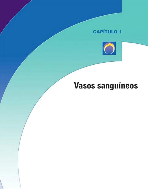 Vasos sanguíneos