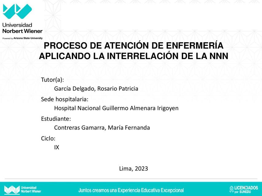 Proceso de Atención de Enfermería 