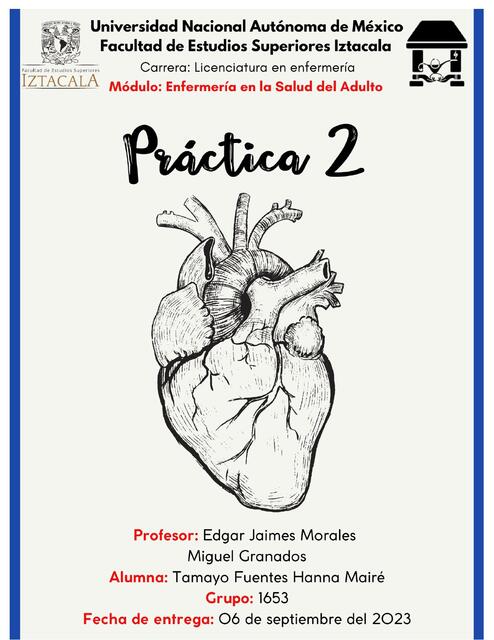 Práctica 2 Corazón