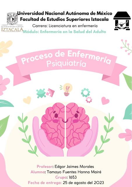 Proceso de Enfermería Psiquiatría 