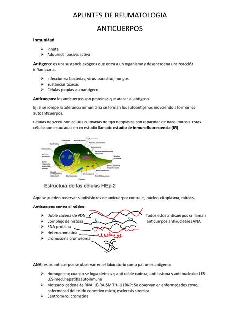 Apuntes de Reumatología 