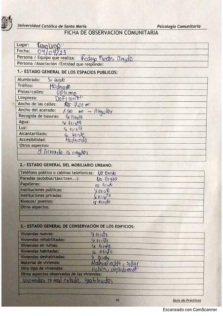 Ficha de Observación Comunitaria