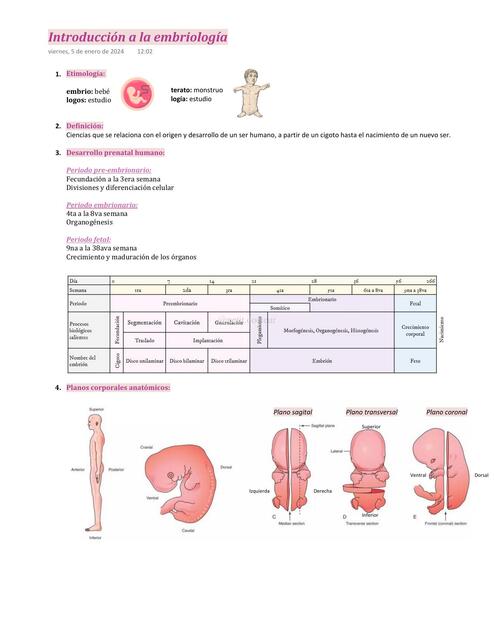 Introducción a la embriología