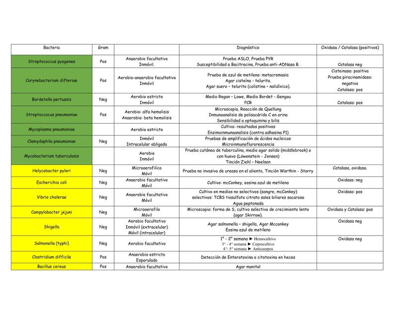 Bacterias características generales 