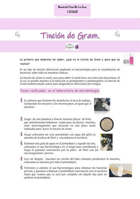 Tincion de gram