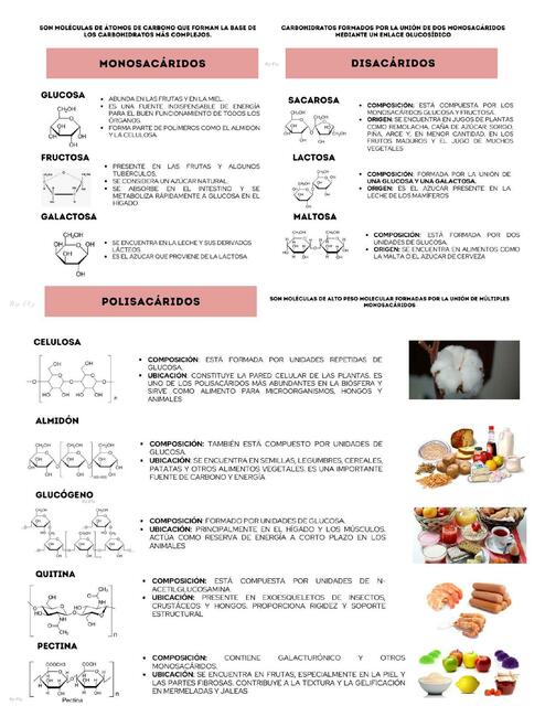 Monosacáridos Disacáridos Polisacáridos by Ely