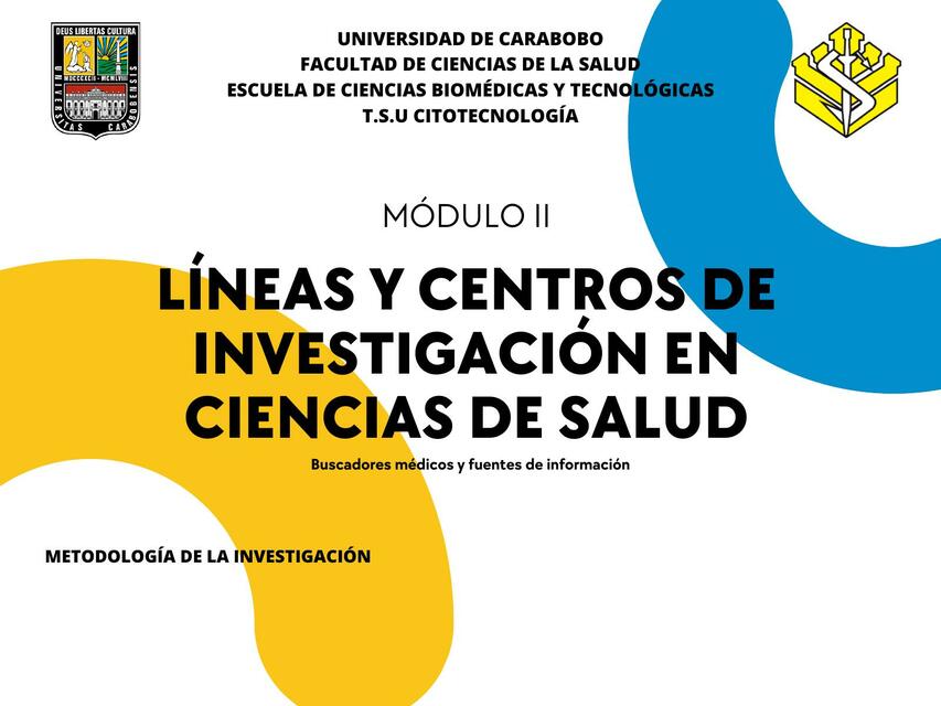 Líneas de investigación