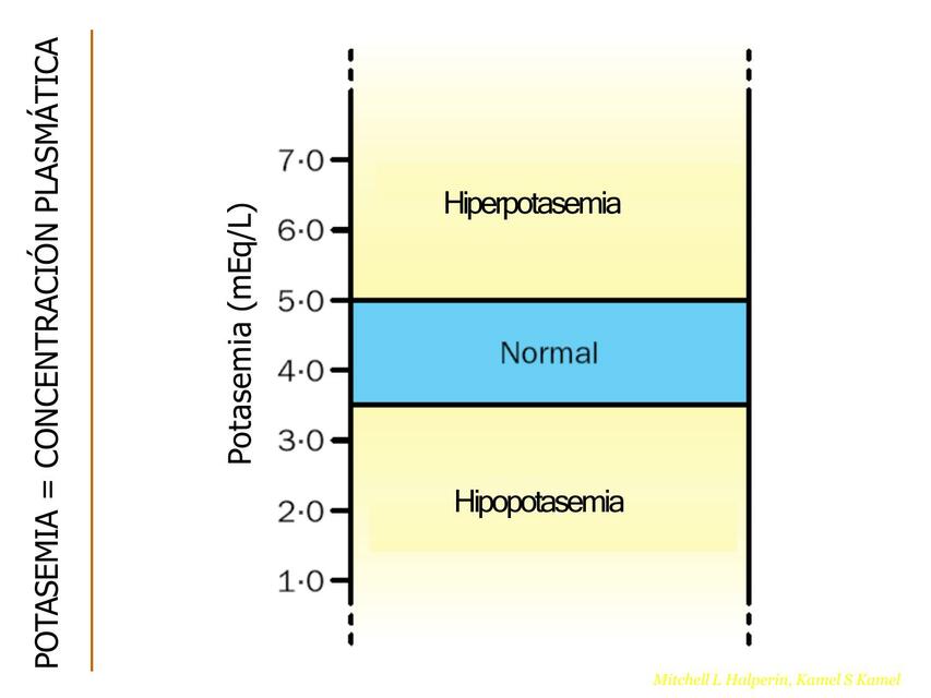 Hipopotasemia 