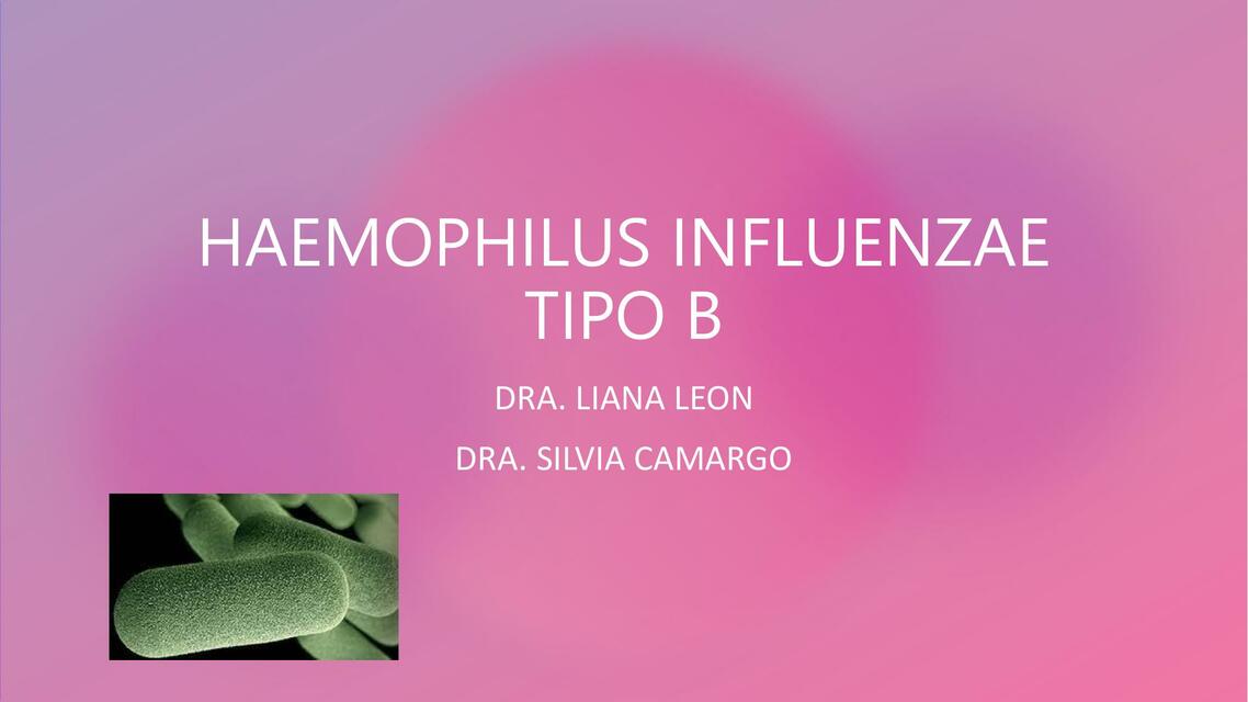 Haemophilus Influenzae Tipo B 