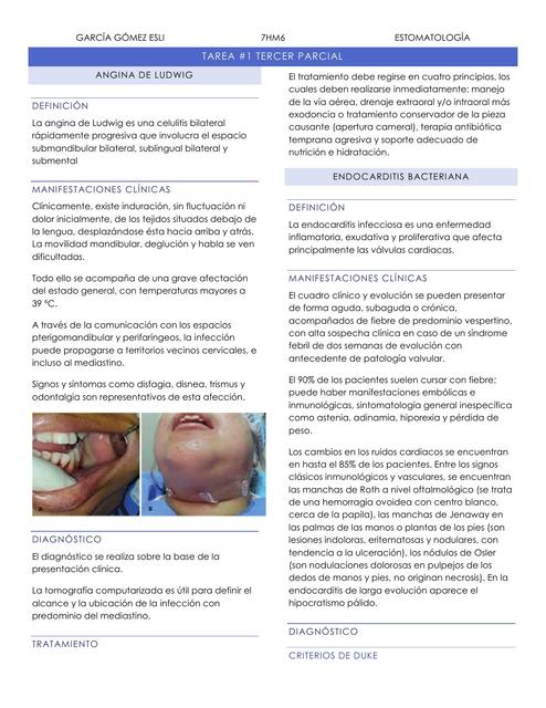 Estomatología Esli García Udocz