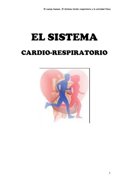 El Sistema Cardio-Respiratorio 