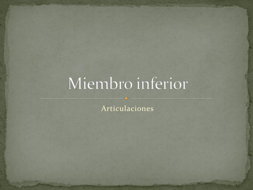 Art Miembro inferior 2 imed