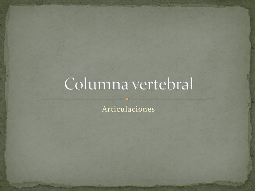 Art Columna vertebral y pelvis 1 imed