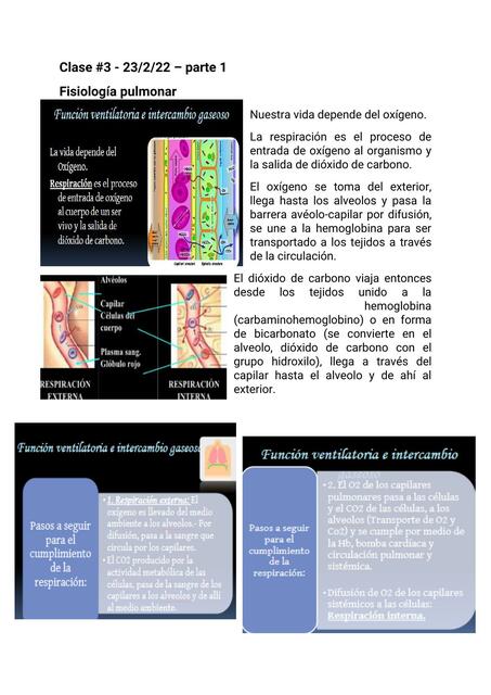 Fisiología pulmonar