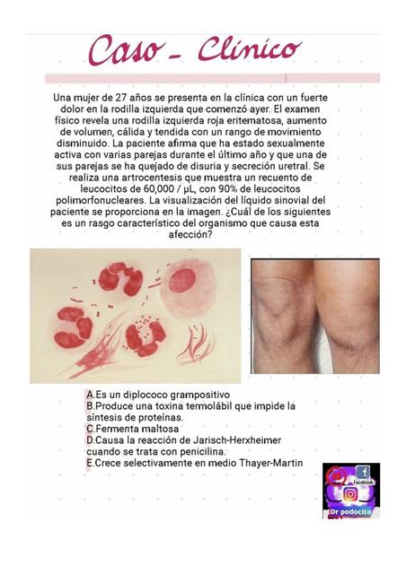 caso clinico neisseria gonorrhoeae