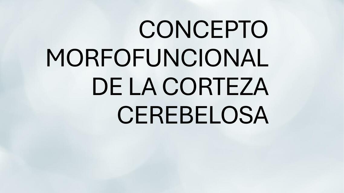 Concepto morfofuncional de la corteza cerebelosa 