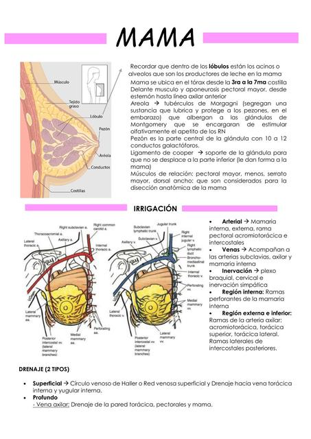 PATOLOGÍA BENIGNA DE MAMA