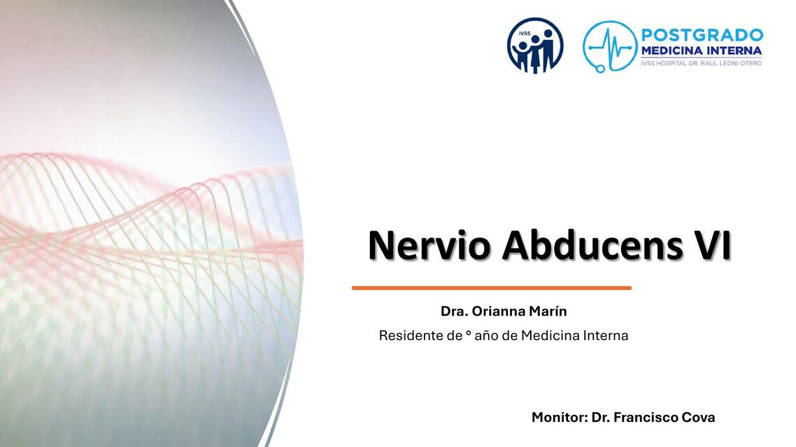 Nervio Abducens VI 