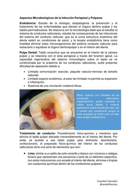 Aspectos Microbiológicos de la Infección Periapica