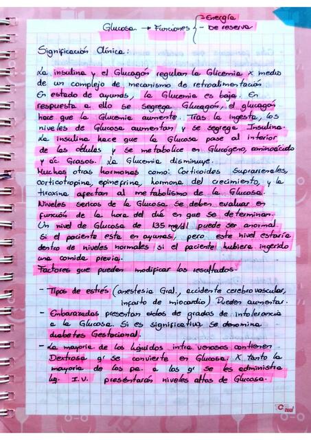 Metabolismo de Glucosa, Colesterol y Triglicéridos