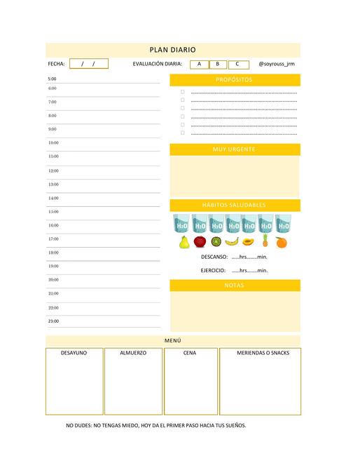 PLAN DIARIO *Corregido(AMARILLO)