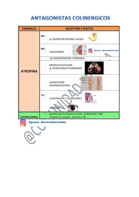 RESUMEN FARMACOLOGIA- ANTICOLINERGICOS (MEMOTECNIA)