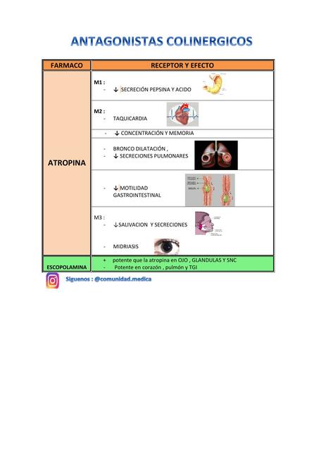 FARMACOLOGIA : ANTICOLINERGICOS (RESUMEN GRATIS)