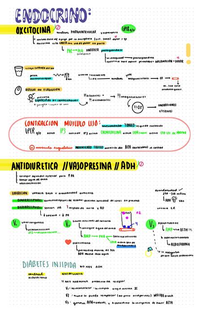 Generalidades endocrino fisiologia celular